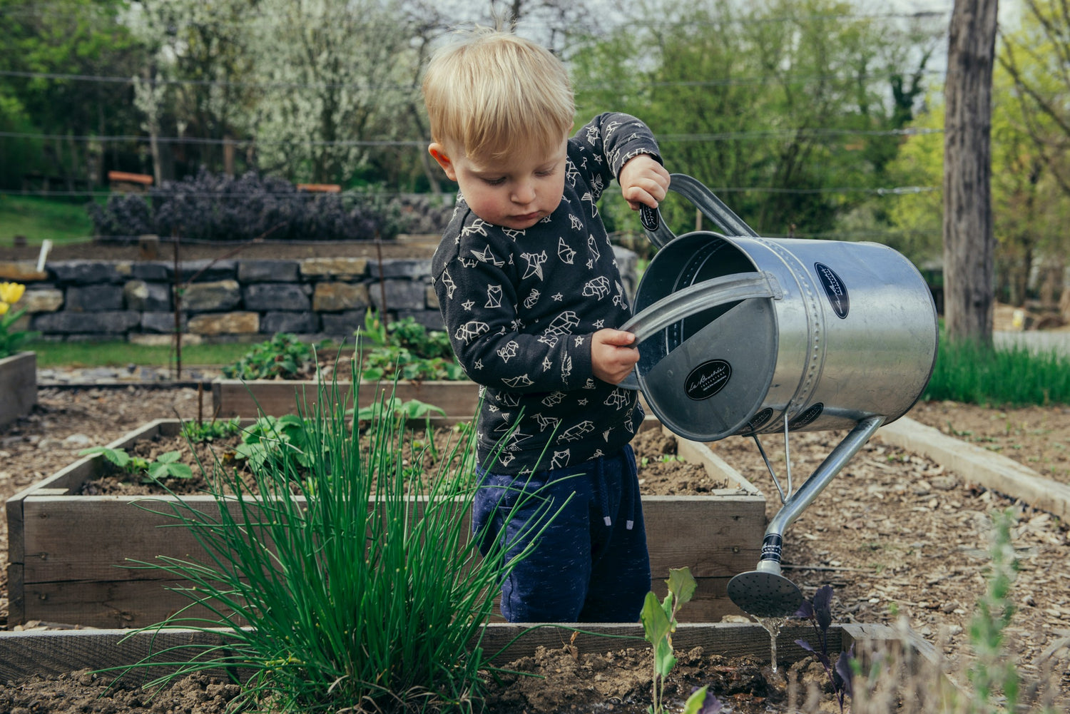 Green Thumb Ready: Essentials for Gardening Season in 2024